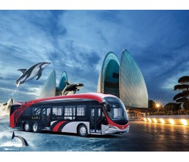 13.7m Dolphin Bus