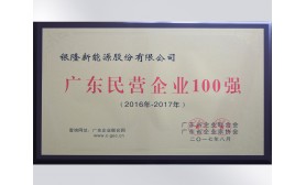 2016广东民营企业100强
