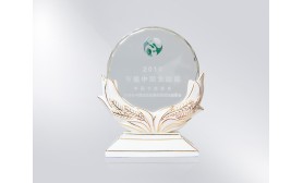 中国节能协会 2010节能中国贡献奖